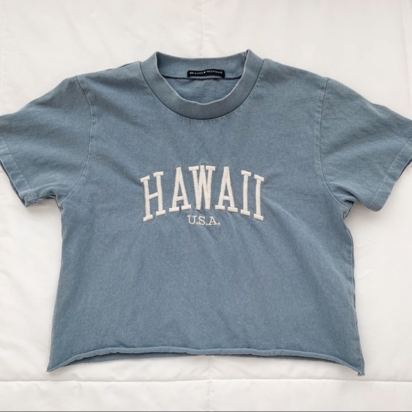 Brandy Melville Tops - brandy melville hawaii top